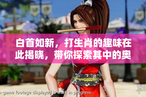 白首如新，打生肖的趣味在此揭晓，带你探索其中的奥秘