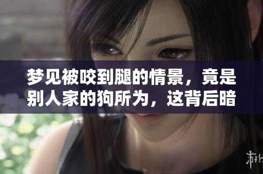 梦见被咬到腿的情景，竟是别人家的狗所为，这背后暗示了什么呢