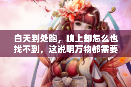 白天到处跑，晚上却怎么也找不到，这说明万物都需要关注和思考