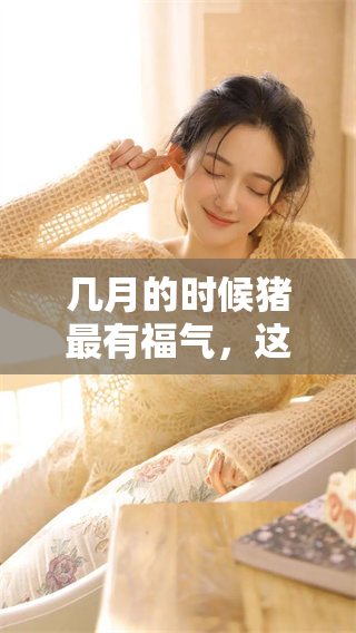 几月的时候猪最有福气，这个问题值得我们深入探讨一下。