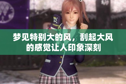 梦见特别大的风，刮起大风的感觉让人印象深刻