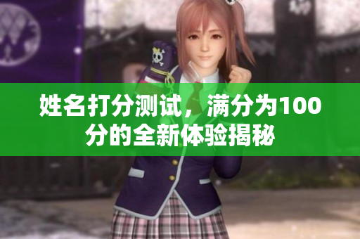 姓名打分测试，满分为100分的全新体验揭秘
