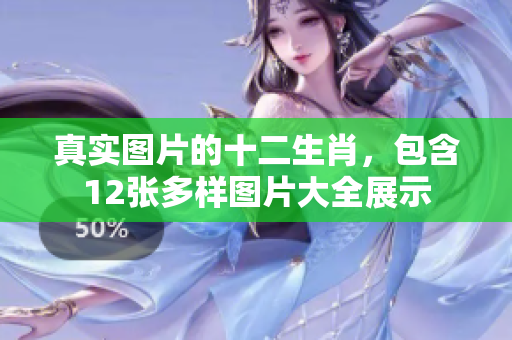 真实图片的十二生肖，包含12张多样图片大全展示