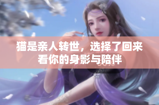 猫是亲人转世，选择了回来看你的身影与陪伴