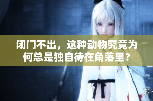 闭门不出，这种动物究竟为何总是独自待在角落里？