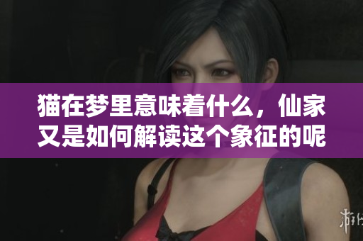 猫在梦里意味着什么，仙家又是如何解读这个象征的呢