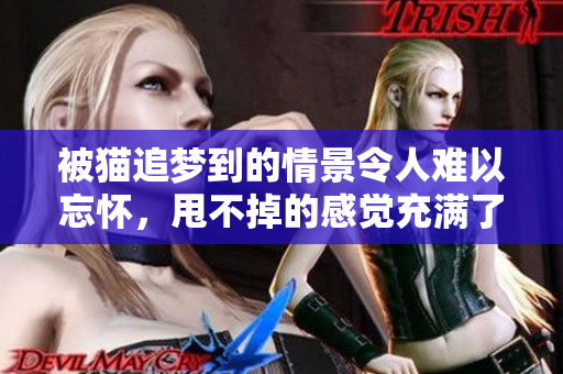 被猫追梦到的情景令人难以忘怀，甩不掉的感觉充满了恐惧与紧张