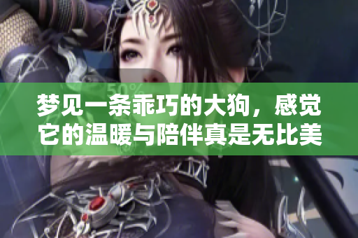 梦见一条乖巧的大狗，感觉它的温暖与陪伴真是无比美好