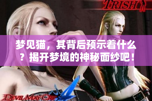梦见猫，其背后预示着什么？揭开梦境的神秘面纱吧！