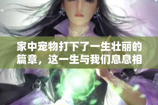 家中宠物打下了一生壮丽的篇章，这一生与我们息息相关