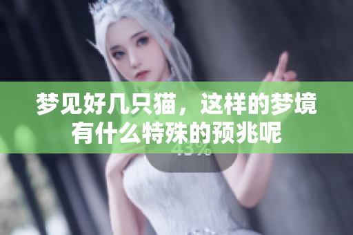 梦见好几只猫，这样的梦境有什么特殊的预兆呢
