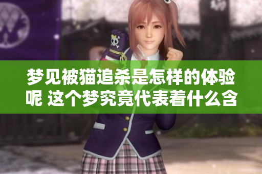 梦见被猫追杀是怎样的体验呢 这个梦究竟代表着什么含义呢