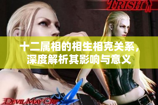 十二属相的相生相克关系，深度解析其影响与意义