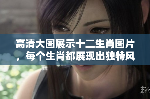高清大图展示十二生肖图片，每个生肖都展现出独特风情与魅力