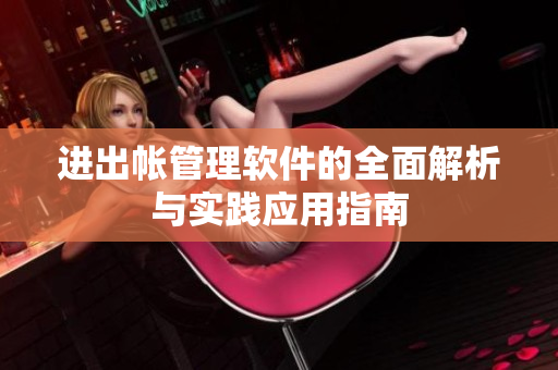 进出帐管理软件的全面解析与实践应用指南