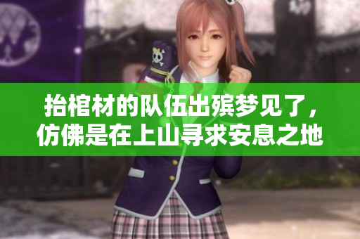 抬棺材的队伍出殡梦见了，仿佛是在上山寻求安息之地