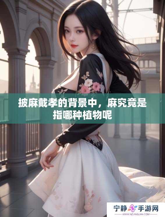 披麻戴孝的背景中，麻究竟是指哪种植物呢