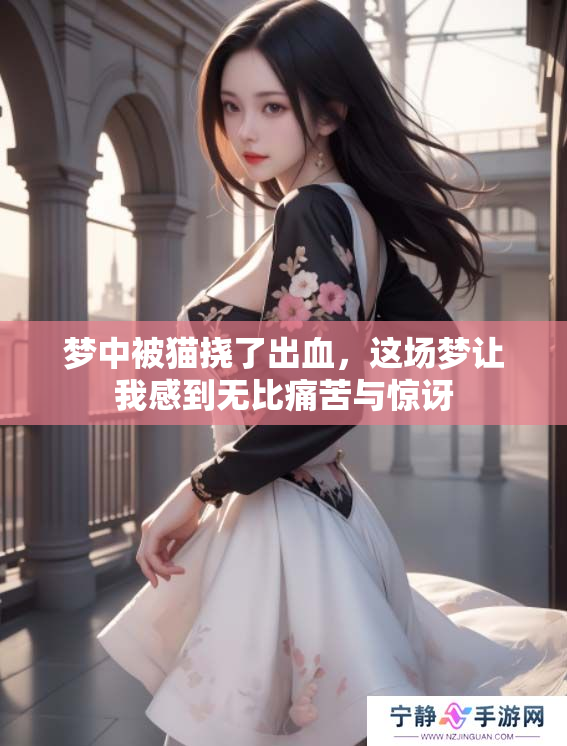 梦中被猫挠了出血，这场梦让我感到无比痛苦与惊讶