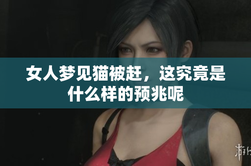 女人梦见猫被赶，这究竟是什么样的预兆呢