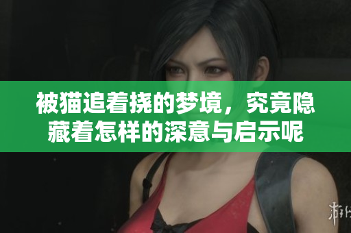 被猫追着挠的梦境，究竟隐藏着怎样的深意与启示呢